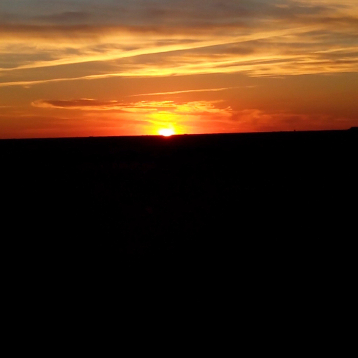 Лучшие фото с телефона | Пикабу