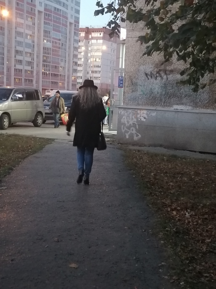 Zorro возвращается с работы