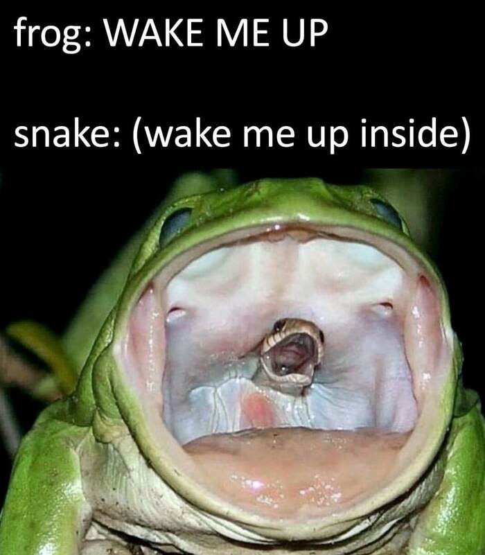  ,   , It Is Wednesday My Dudes, ,   , , Wake Me Up