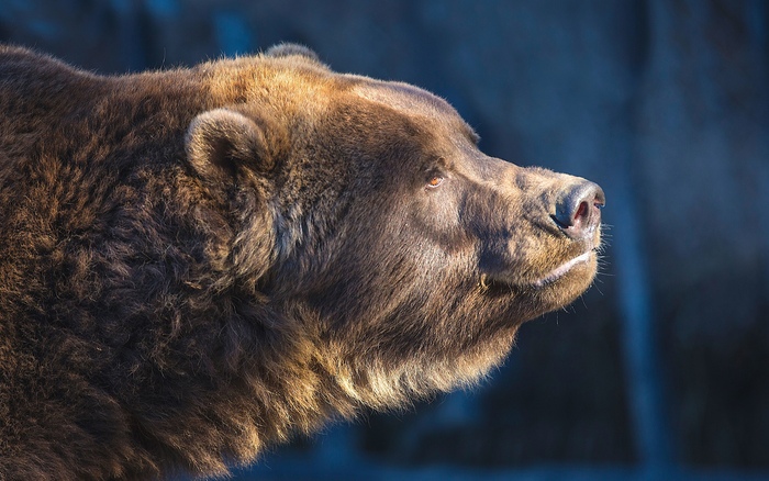 Солнышко все любят