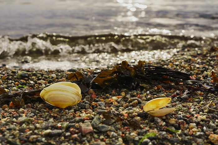 У самой кромки прибоя №2