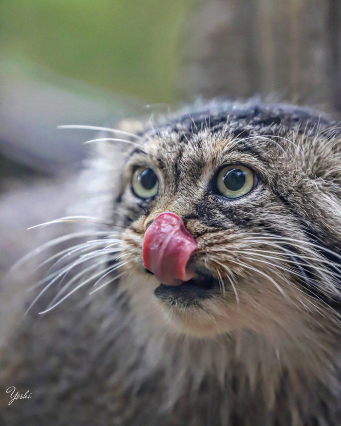 ����� �� ���� ������, ���� � ���!�