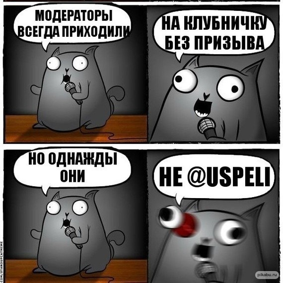  ,   ,   , Uspeli, , , 