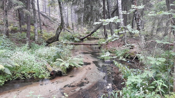 Ответ на пост «У меня редко получаются удачные кадры»