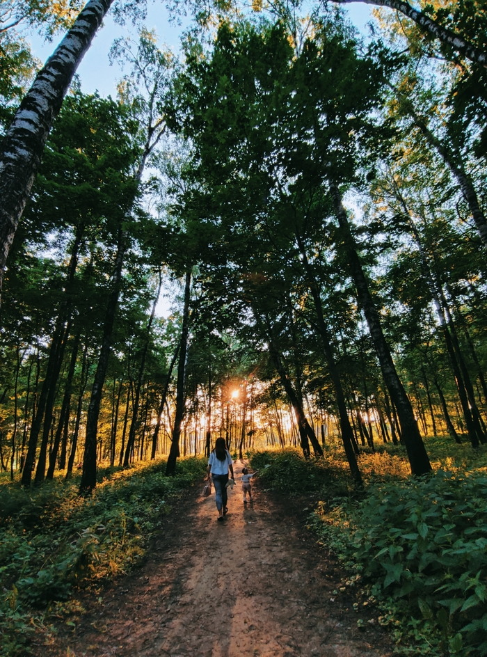 Делюсь своими фотками Мобильная фотография, Фотограф, Фотография, Длиннопост, Путешествия, Кот