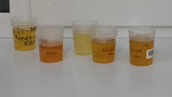 50 оттенков осени