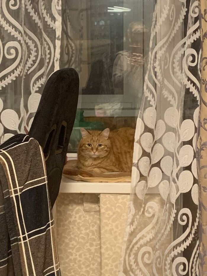 ����� ����� ��������� ������