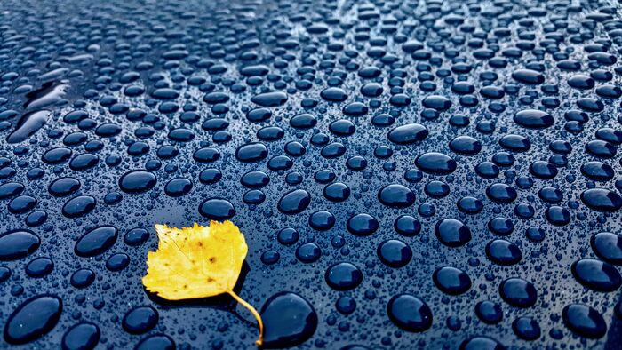 У каждого должен быть тот кадр на телефон