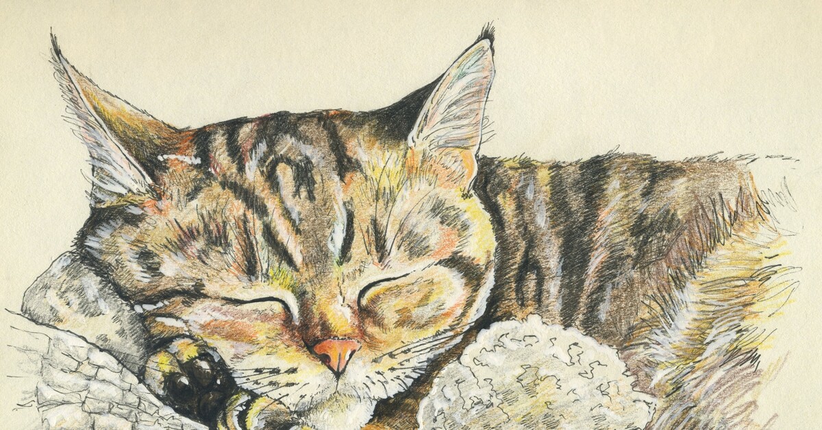 Коты рисунки