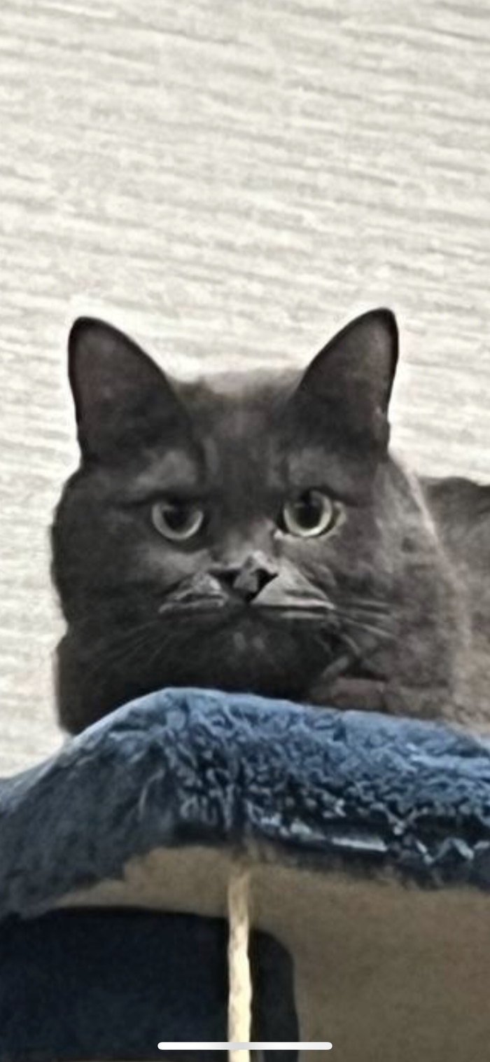 Твое лицо к концу недели