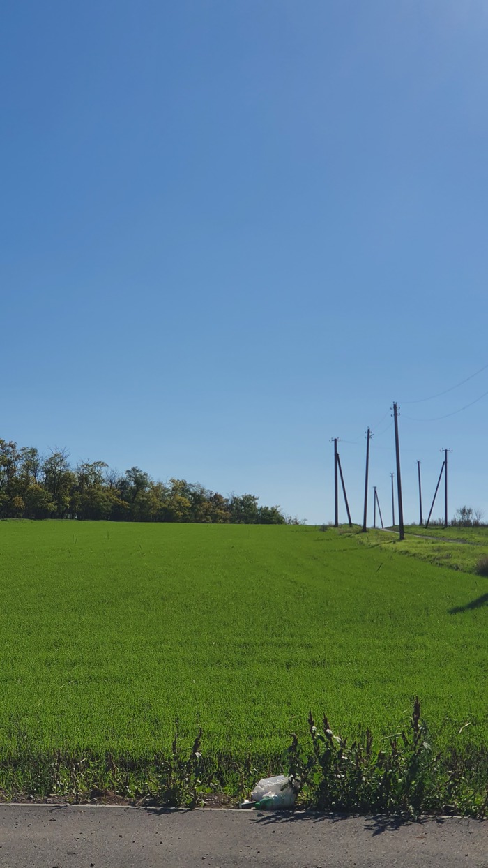 � ��� ����� ������ ��?