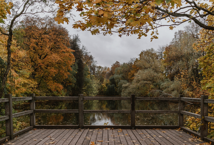 ���� �� ���������� �����