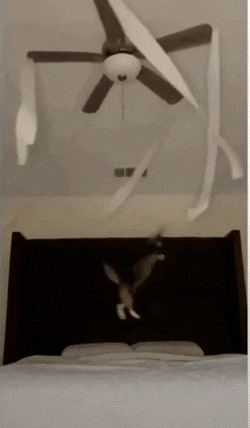      , , , 