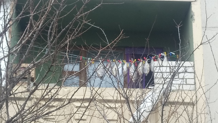 Так на рыбалку захотелось...