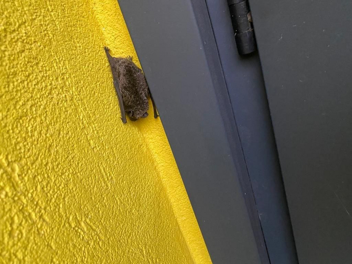 Чувак, это репчик