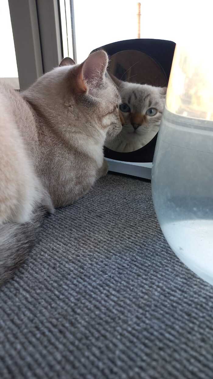 ������������