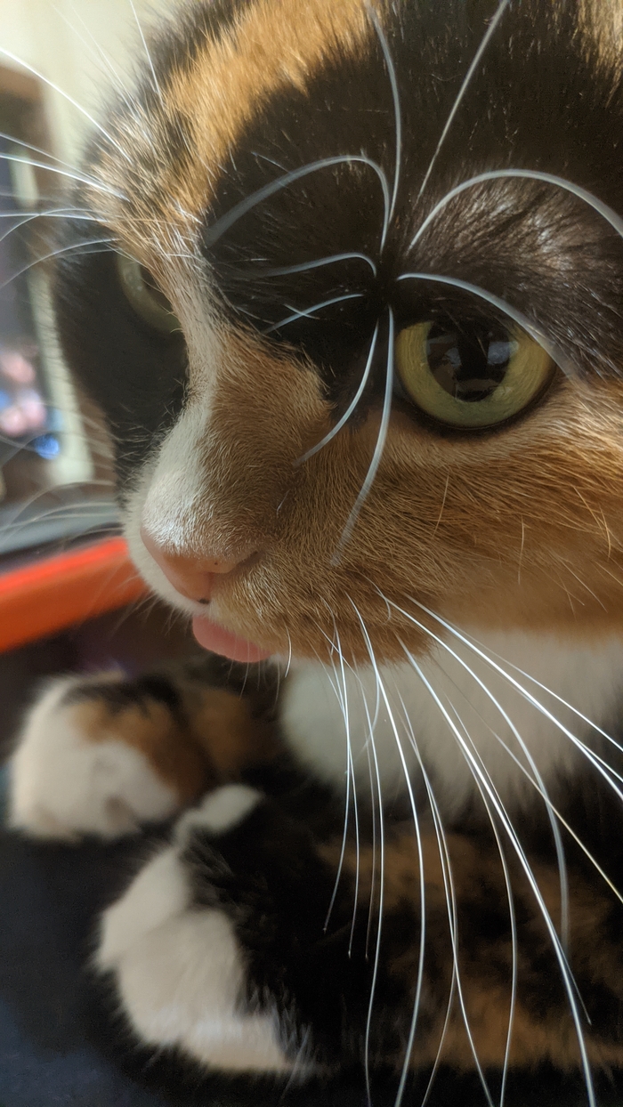  , ,  ,  , 