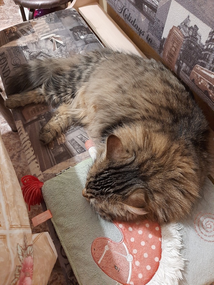 Дождались...