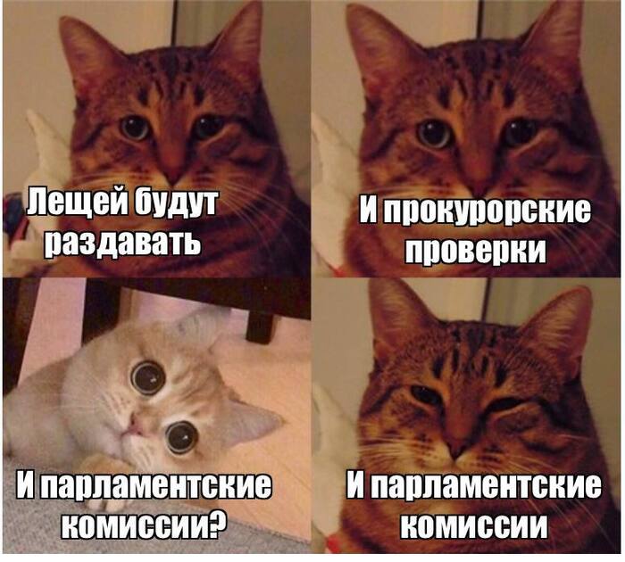 � ������� ��������