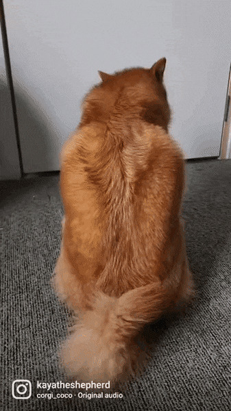      , , , 