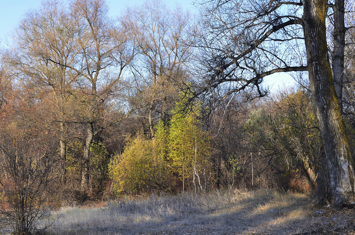 Осенний пейзаж