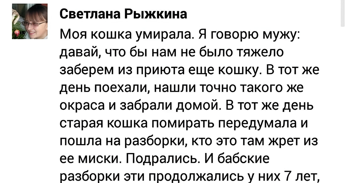 Мужу дали. Смешные истории про женщин. Ржачные истории про дяну. Смешные истории про ЗУХРАШКУ.