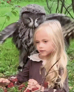    , , , 