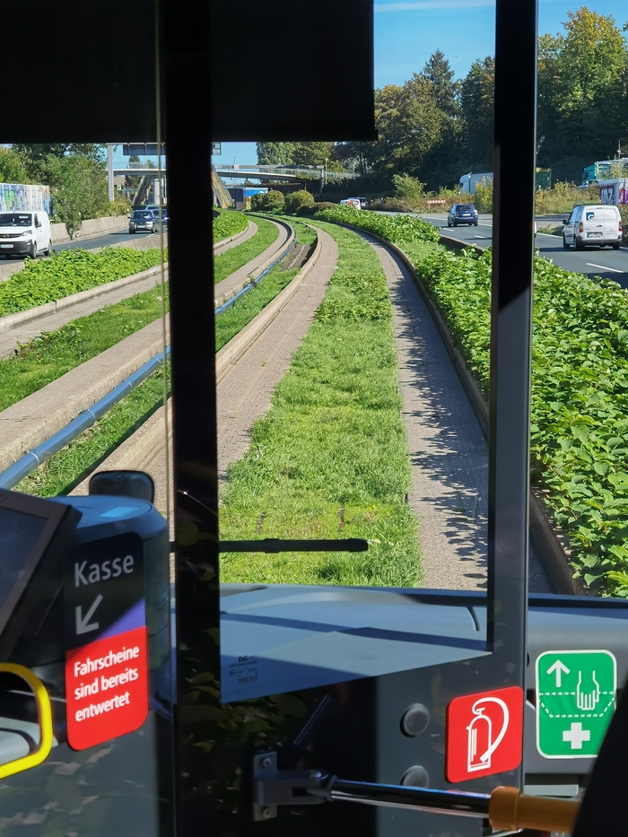 Автобус по колее