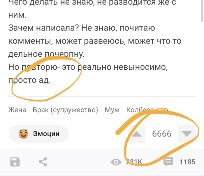 ����������?