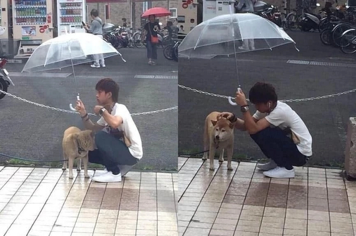 Добрый хозяин укрывает свою собачку от дождя