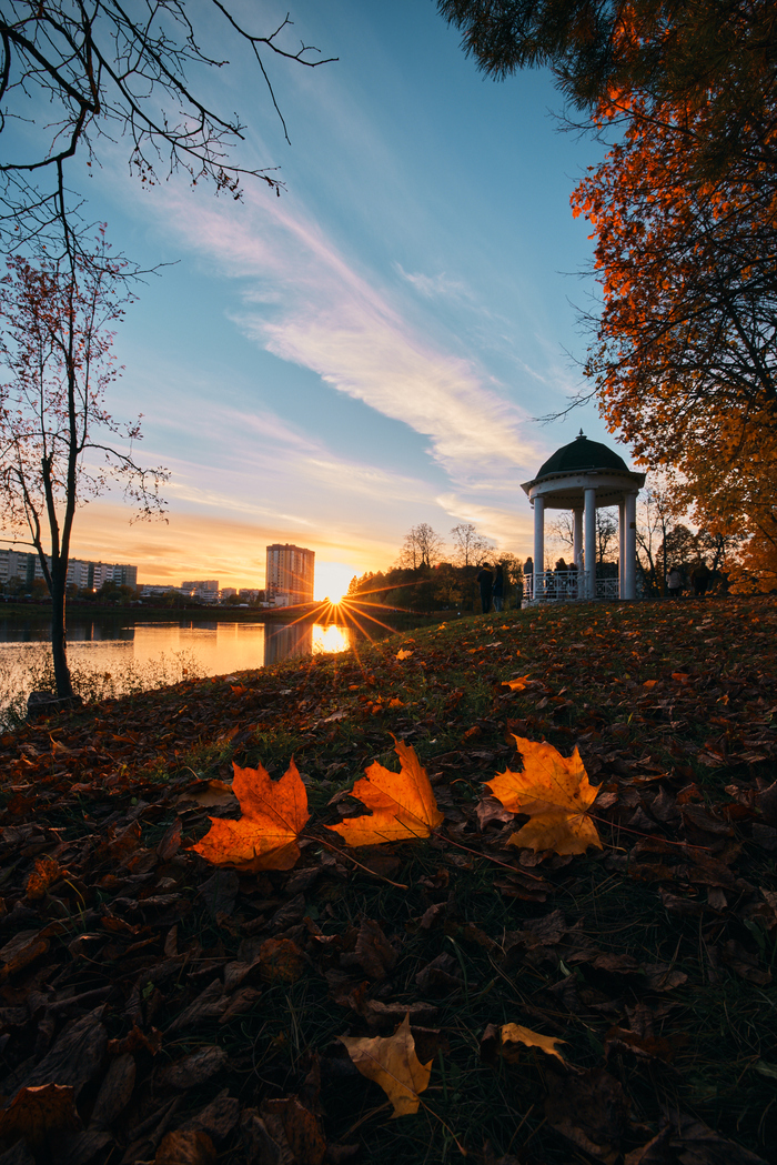 ���� �������� ������