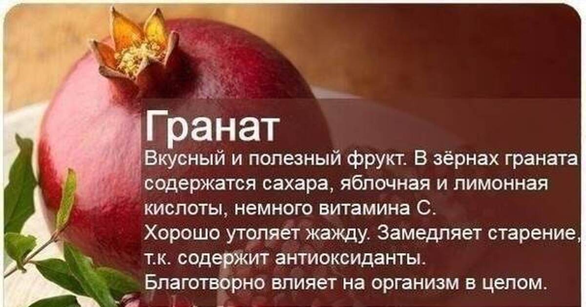 Гранатов краткое содержание. Полезные фрукты. Факты о гранате. Польза фруктов. Интересные факты о гранате.