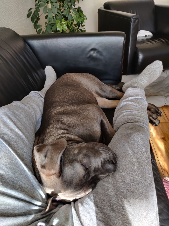 ������� �������������� ���