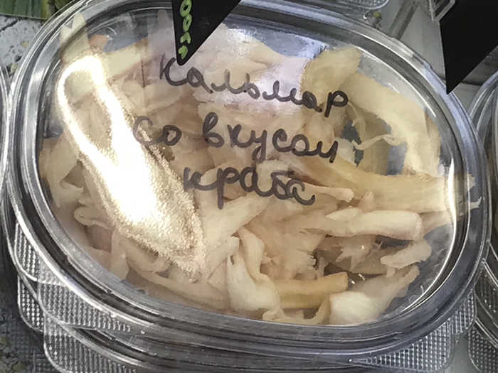 ���� �����