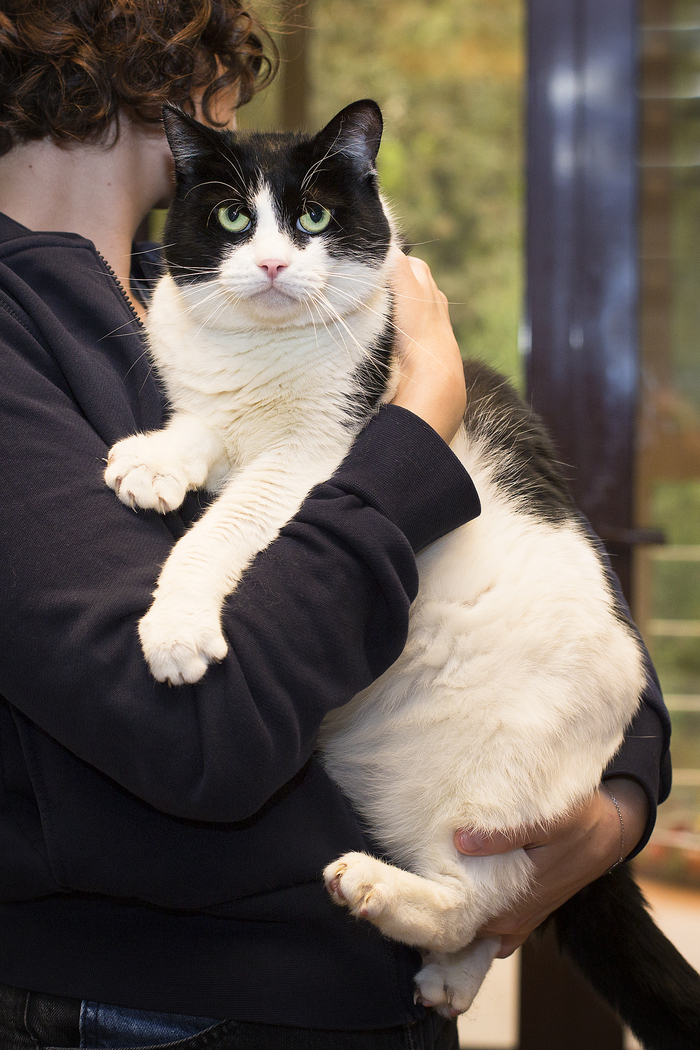 Кузя - разбиватель сердечек