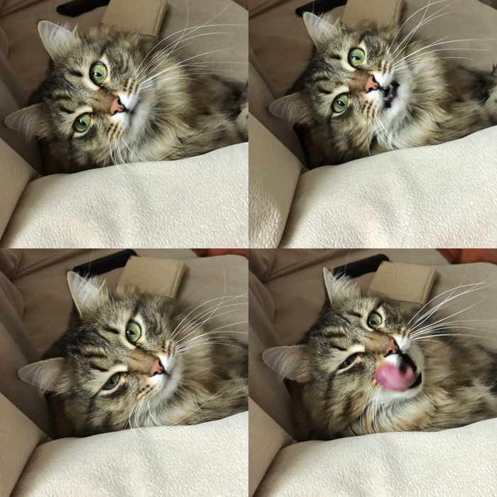         , -,  , , 