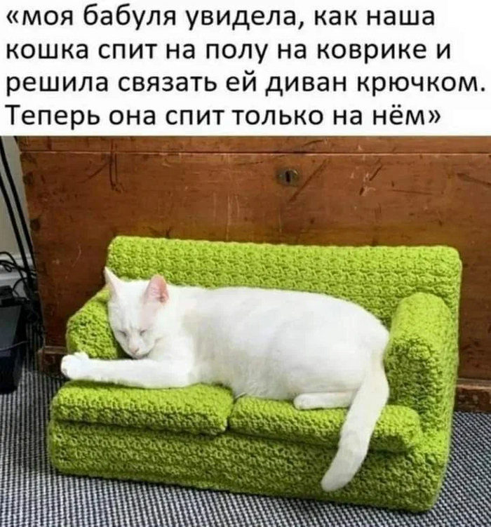 Ответ на пост «История успеха» Кот, Рукоделие без процесса, Вязание, Диван, Рукоделие с процессом, Вязание крючком, Ответ на пост, Длиннопост