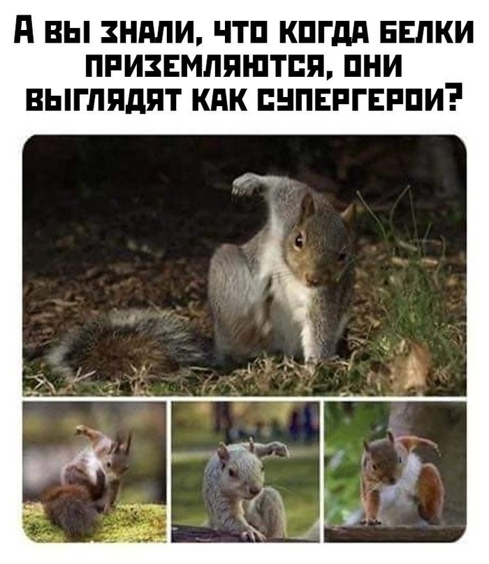 166540157519841852.jpg