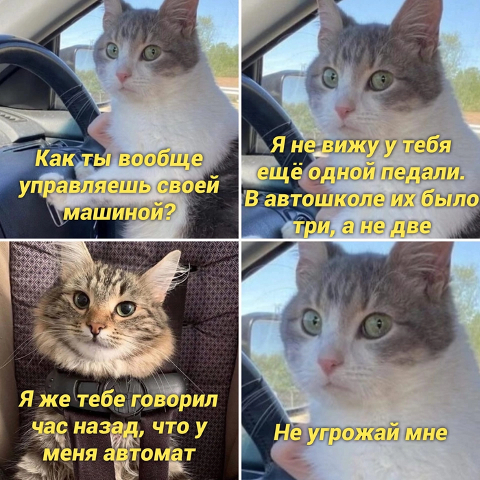  ,   , , , , 