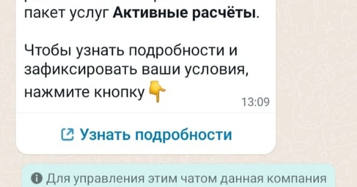 Анти спам бот в WhatsApp business | Пикабу