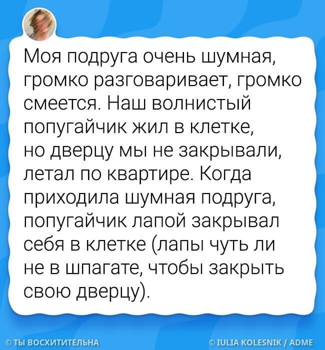 ������ ����������