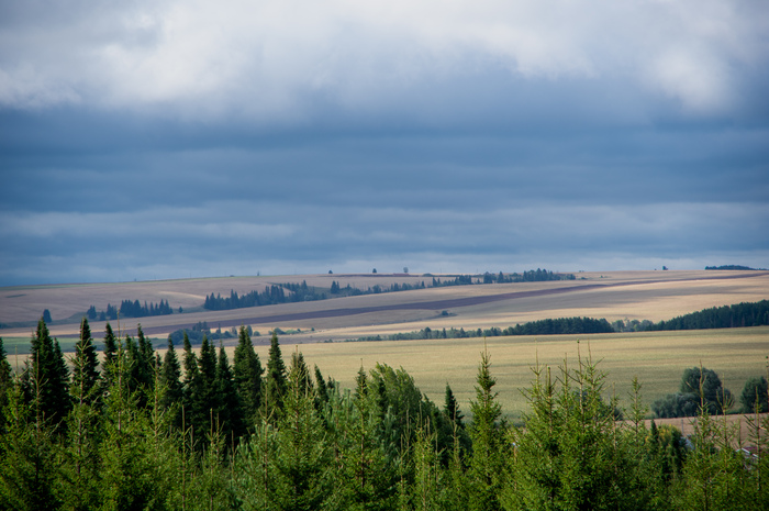 Удмуртия, леса, поля, леса. Август 20-го