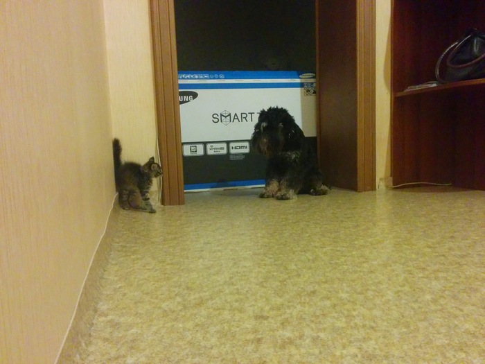 ����������