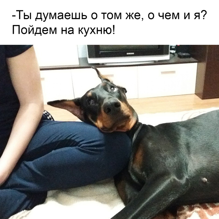 �� ����� �����