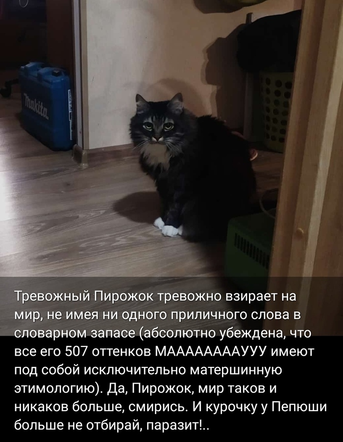 ����-�������� ��� ����� #28