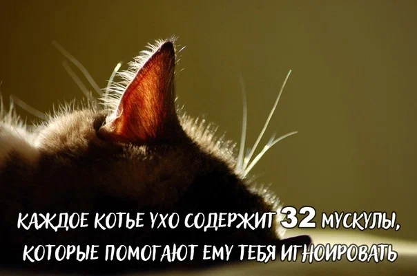 Не плохо, не плохо