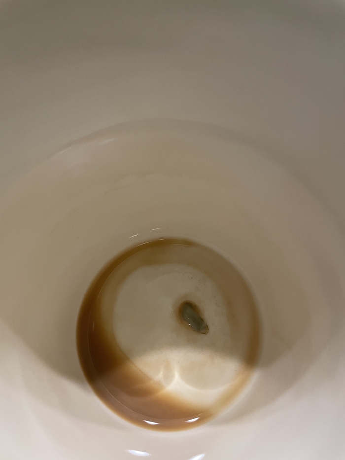      , , 