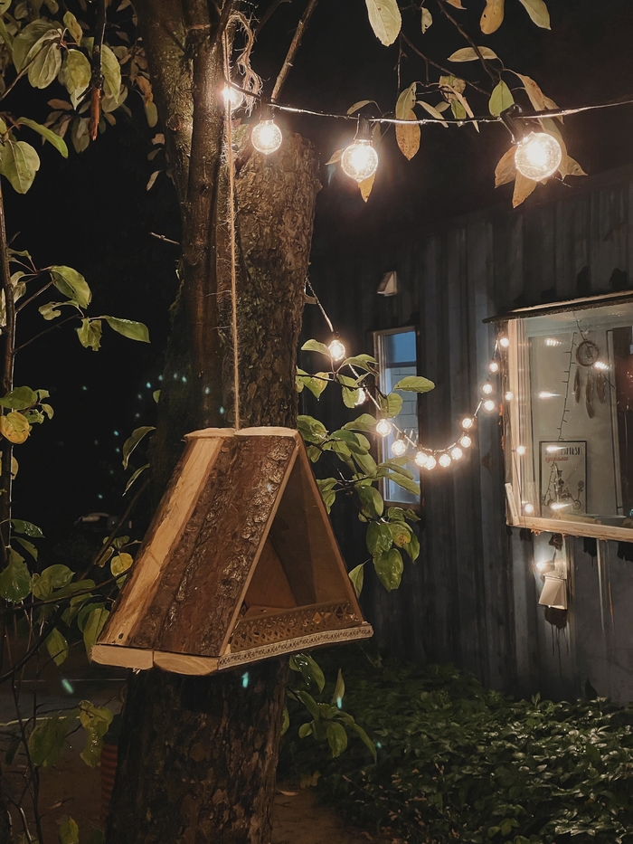 ������ ��������