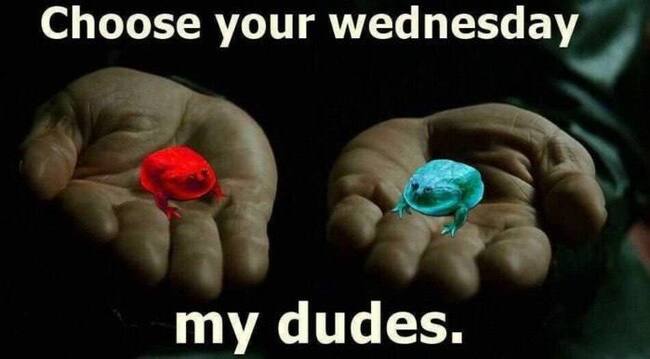 Лизнешь синюю, и твои галюны будут про работу и экзамены, лизнешь красную и узнаешь как глубока кроличья нора