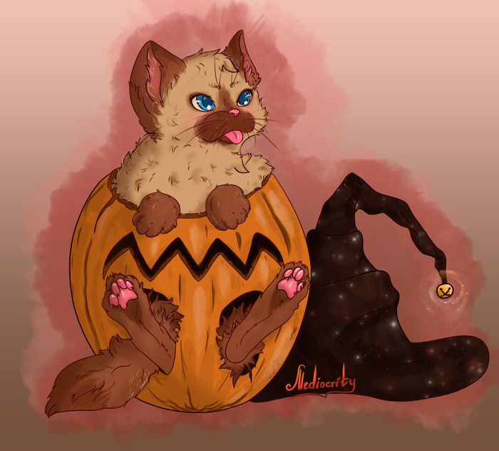 Pumpkin cat , ,   , -